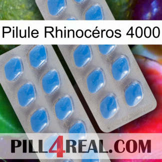 Pilule Rhinocéros 4000 23